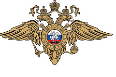 В ЗАО подведены итоги городского профилактического мероприятия  «Пешеходный переход»