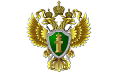 Передача информации об абонентах оперативникам через СМЭВ: утверждены правила для операторов связи
